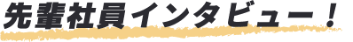先輩社員インタビュー!